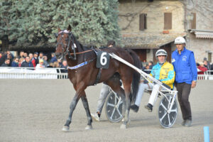 Cokstile Vittoria Batteria B