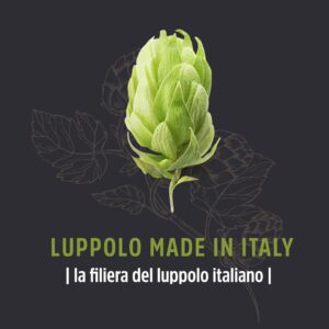 Luppolo Made in Italy_filiera del luppolo_grafica-in