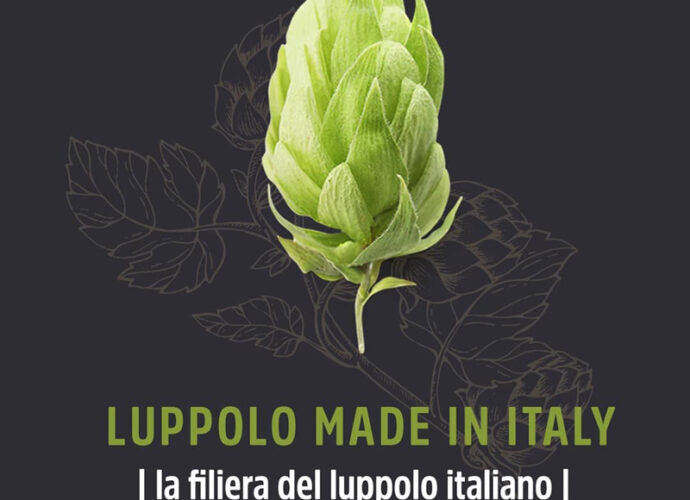 Luppolo-Made-in-Italy_filiera-del-luppolo_grafica-cop