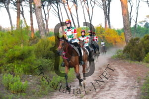 Longines FEI Endurance World Championship-1