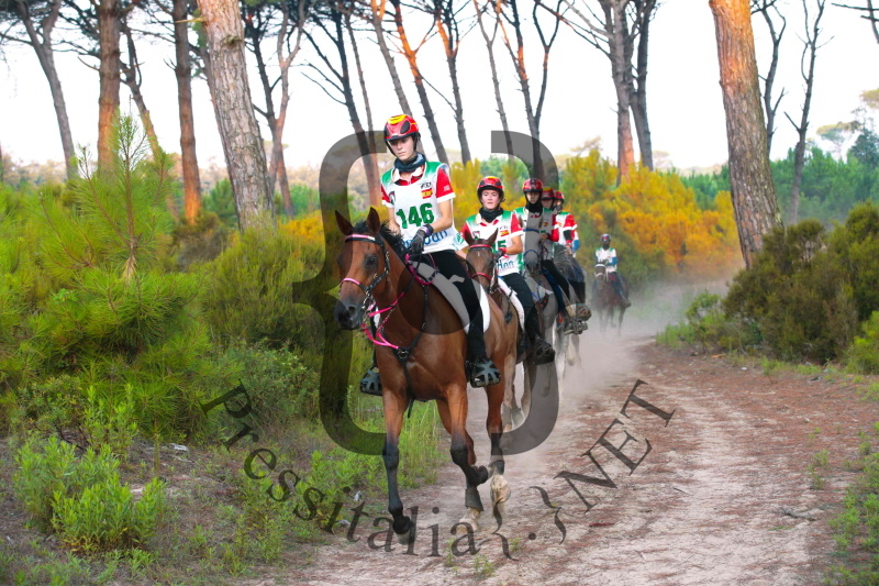 Longines FEI Endurance World Championship-1
