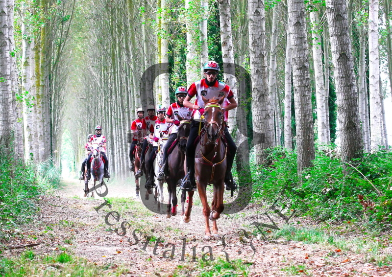 Longines FEI Endurance World Championship-2