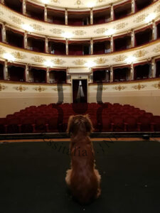 Teatro_Gubbio-in