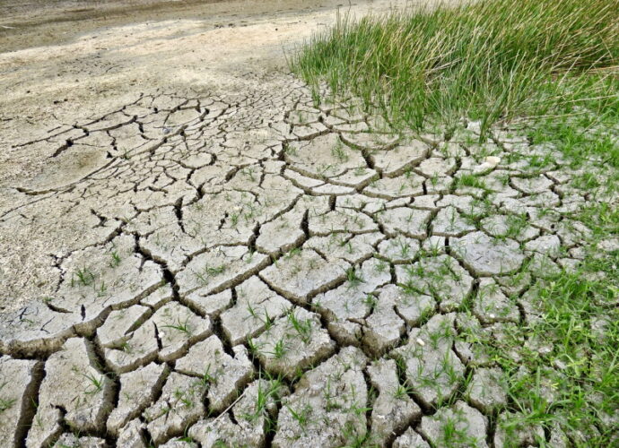 cambiamenti climatici-cop