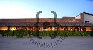 Lungarotti Winery - Torgiano