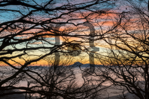 Foto Biancarelli mostra