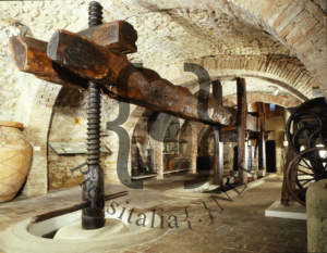 Ripartono-le-attività-del-Muvit-e-del-Moo-2