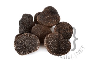 tartufo-in