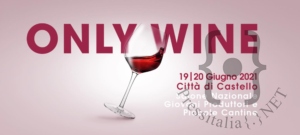 Only-Wine-in