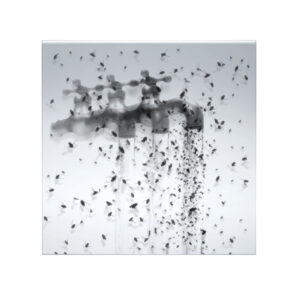 Antonello Matarazzo, Profezia di un insetto letale, 2018-21