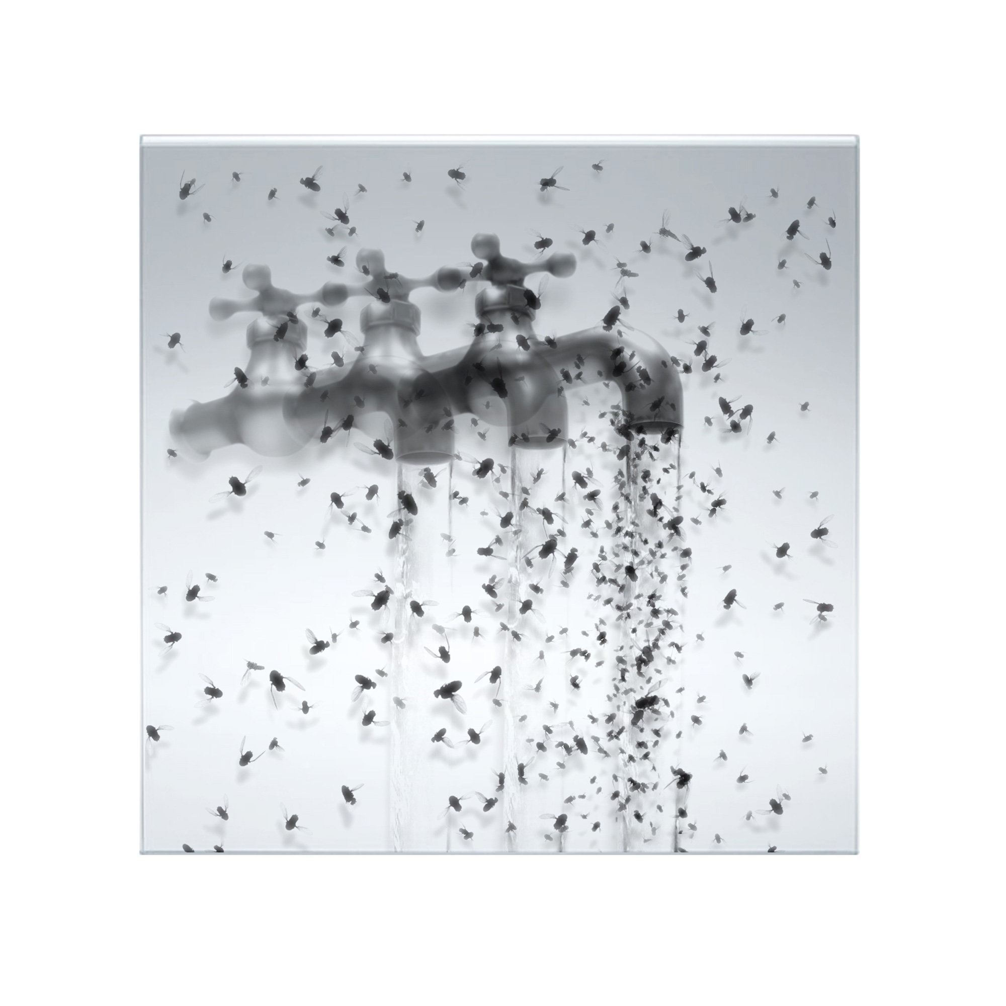 Antonello Matarazzo, Profezia di un insetto letale, 2018-21