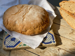 Pagnottelle-di-farro-cop