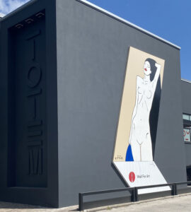Wall-for-art-in