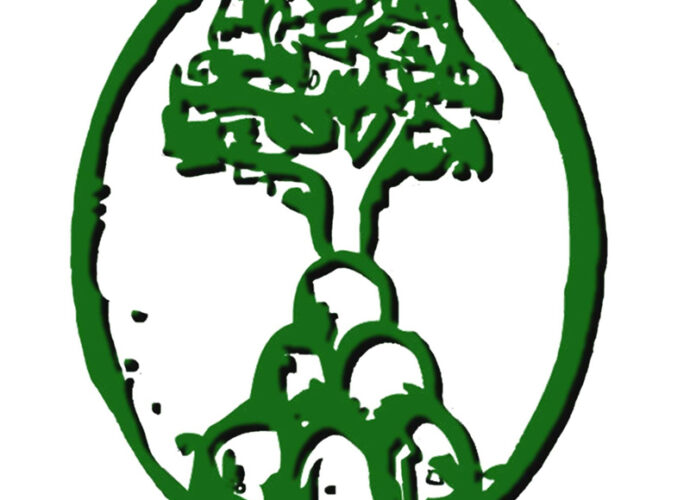 Festival-Federico-Cesi-cop