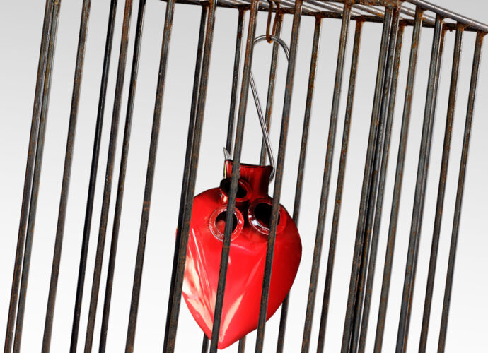 Anna-Izzo---La-violenza-non-è-amore-cop