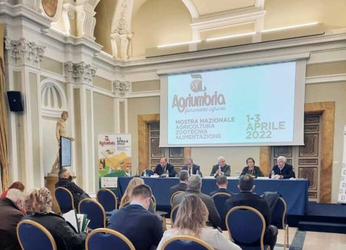 Conferenza-stampa-Roma-cop