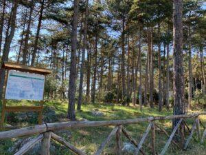 001-Calvi dell'Umbria Il Parco dei Mulini a vento-pressitalia