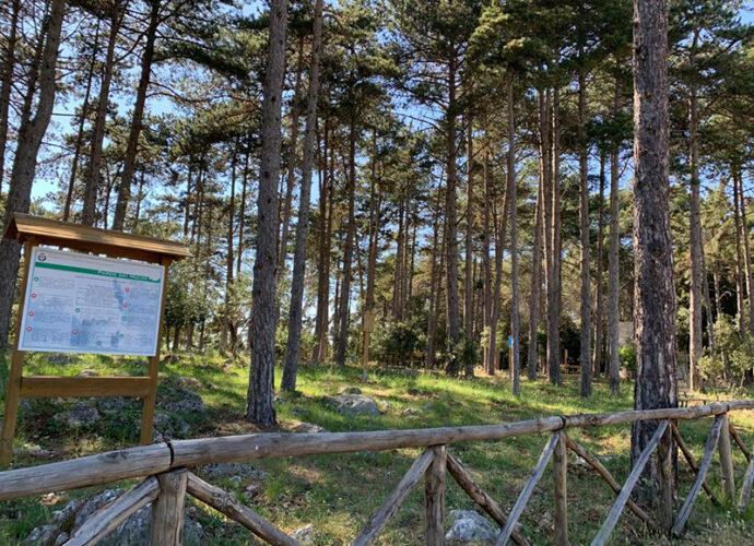 Calvi-dell'Umbria-Il-Parco-dei-Mulini-a-vento-cop
