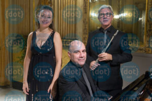 Ensemble-Araba-Fenice