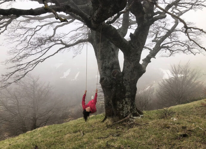 foto-laboratorio-alberi-cecilia