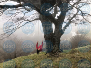 foto-laboratorio-alberi-cecilia-in