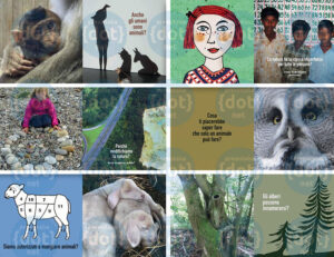 mostra-fotografica-di-antje-damm-1