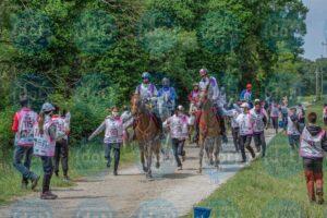 Foto-Pisa-SanRossore-Endurance-campionati-(4)-1