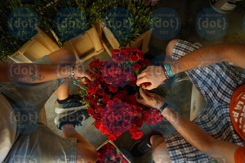 Foto-capatura-fiori-infiorate-spello-1