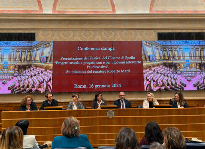 La-conferenza-in-Senato-cop