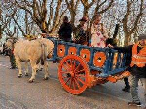 il-carro-al-belvedere-cop