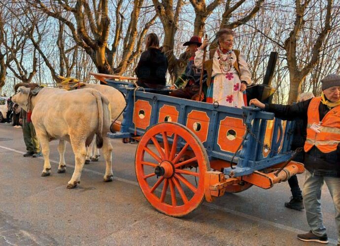 il-carro-al-belvedere-cop