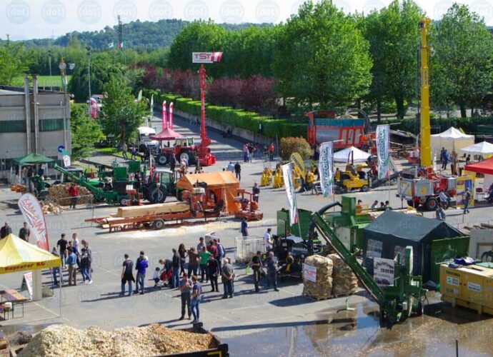 Archivio-Forlener-cop