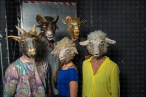 AB_HYENAS_MIRABILIA_ph.AndreaMacchia_4-in