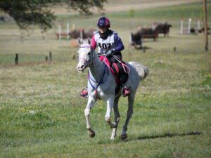 Foto-Costanza-Laliscia-cop