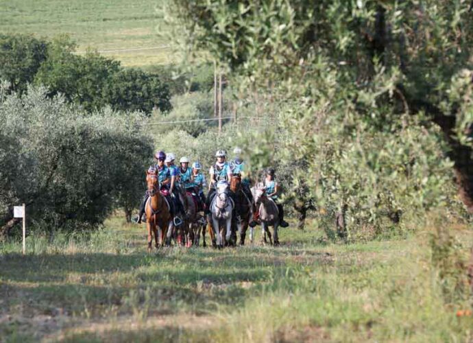 Foto-castiglionedellago-all-1-cop