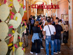 272r6pp9560_ppmetelli-cop