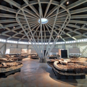 MuseoPaleo-Boldrini-Pietrafitta-(1)-in