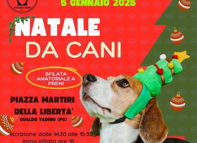 Natale-a-4-Zampe-cop