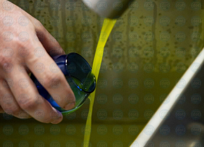 degustazioni-Frantoi-Aperti-2025-cop