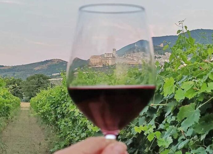 Saio Vini Assisi-cop