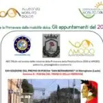 Locandina-Poesia-del-treno-e-della-ferrovia-cop