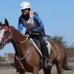Mondiale-giovani-cavalli26_CostanzaLaliscia-FuxiateamOrofiock-cop