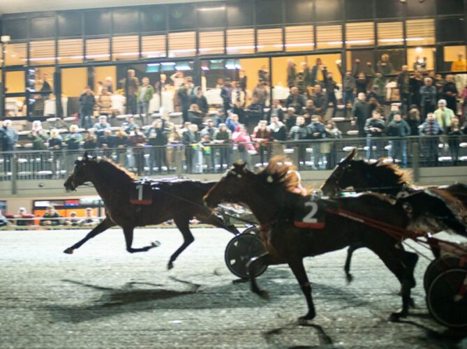 BENGUIRION JET REGALA IL PALIO A GUALDO TADINO-cop