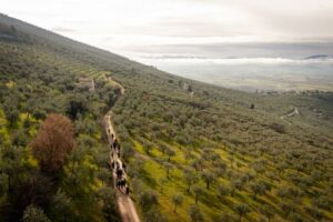 FestivOl; Trevi_Umbria-in