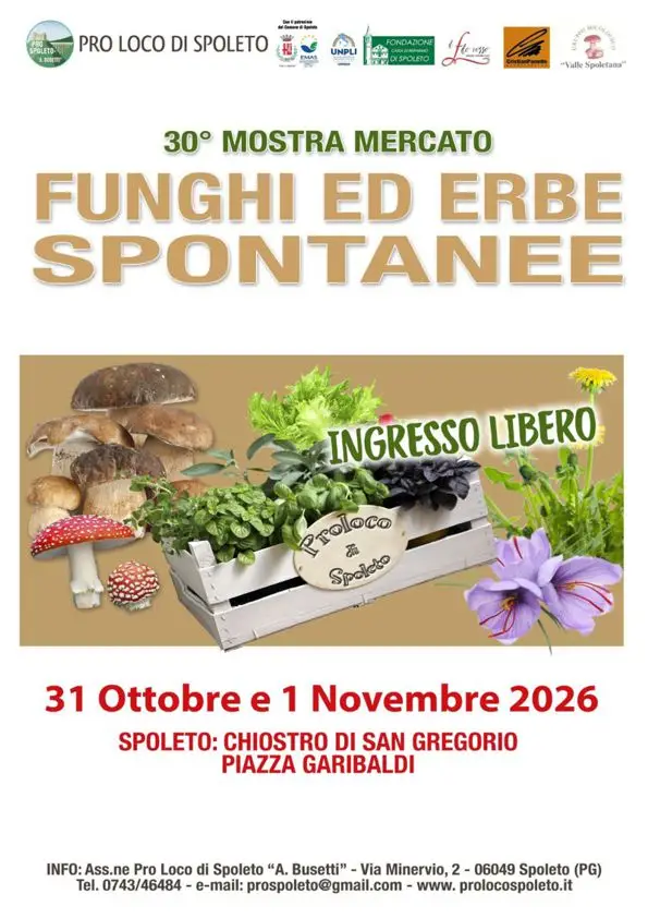 Funghi-ed-erbe-spontanee-in
